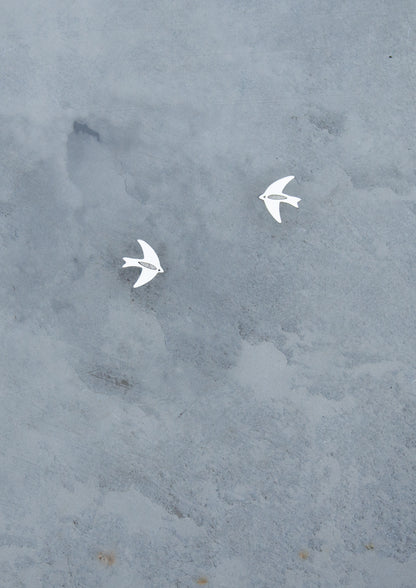 Swallows Silver Stud Earrings