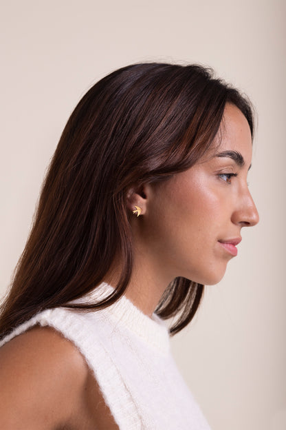 Swallows 24K Gold Stud Earrings